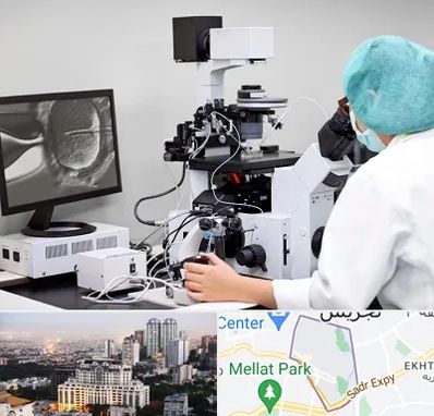 آزمایشگاه اسپرموگرام در الهیه 