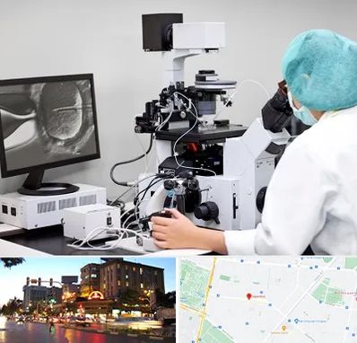 آزمایشگاه اسپرموگرام در بلوار سجاد مشهد 