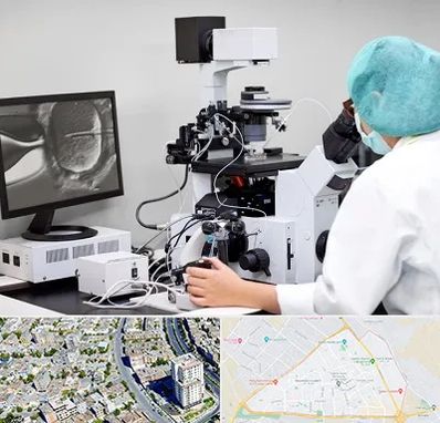 آزمایشگاه اسپرموگرام در قاسم آباد مشهد 