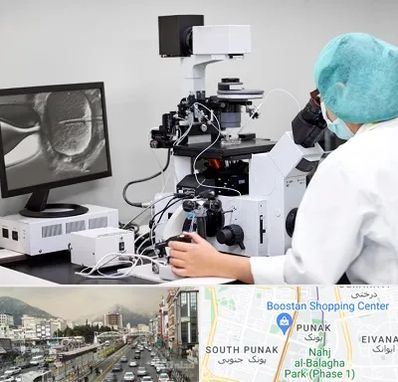 آزمایشگاه اسپرموگرام در پونک 