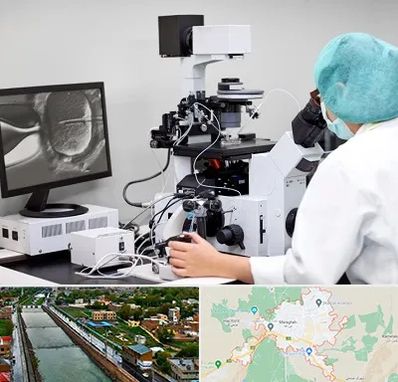 آزمایشگاه اسپرموگرام در مراغه