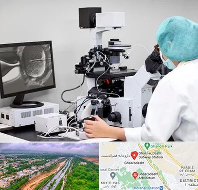 آزمایشگاه اسپرموگرام در قصرالدشت شیراز