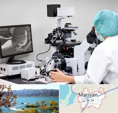 آزمایشگاه اسپرموگرام در مریوان