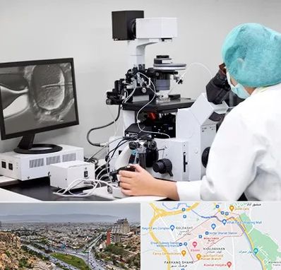 آزمایشگاه اسپرموگرام در معالی آباد شیراز