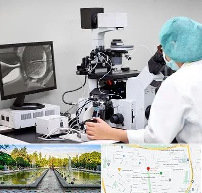 آزمایشگاه اسپرموگرام در سرسبز 