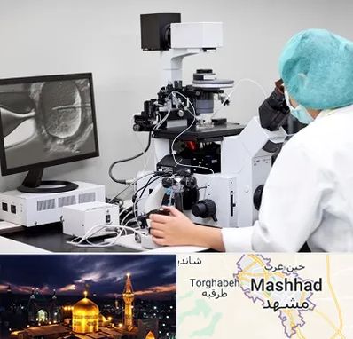 آزمایشگاه اسپرموگرام در مشهد
