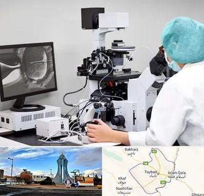 آزمایشگاه اسپرموگرام در تایباد