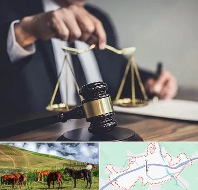 وکیل حقوقی در تالش