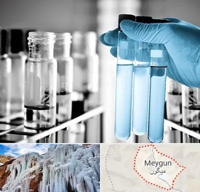 آزمایشگاه تخصصی در میگون