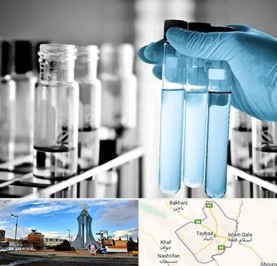 آزمایشگاه تخصصی در تایباد