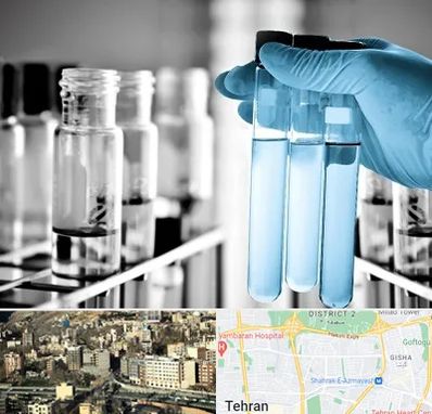 آزمایشگاه تخصصی در مرزداران 