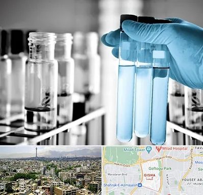 آزمایشگاه تخصصی در گیشا 