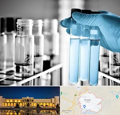 آزمایشگاه تخصصی در برازجان
