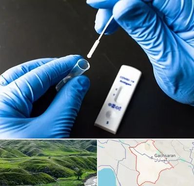 آزمایشگاه پی سی آر در گچساران