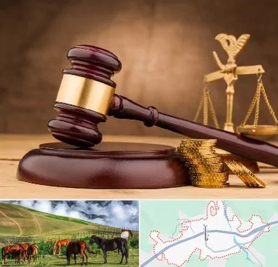 وکیل مالی در تالش