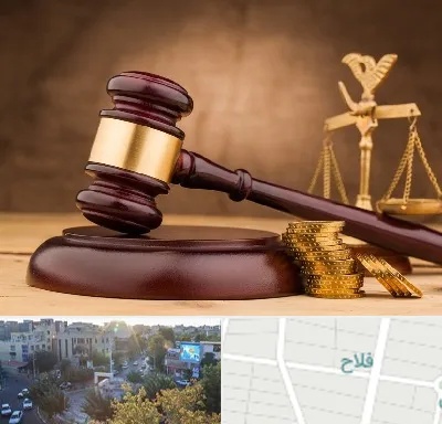 وکیل مالی در فلاح