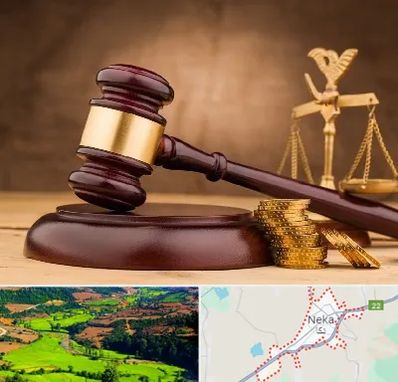 وکیل مالی در نکا
