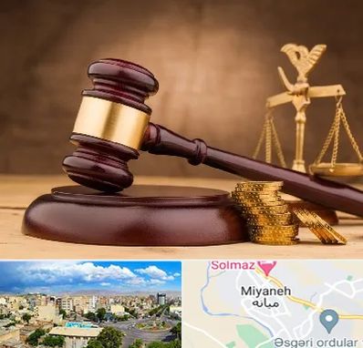 وکیل مالی در میانه