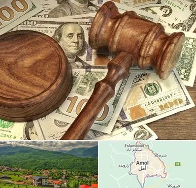 وکیل امور مالی در آمل