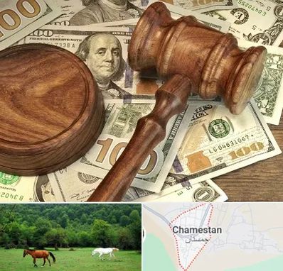 وکیل امور مالی در چمستان