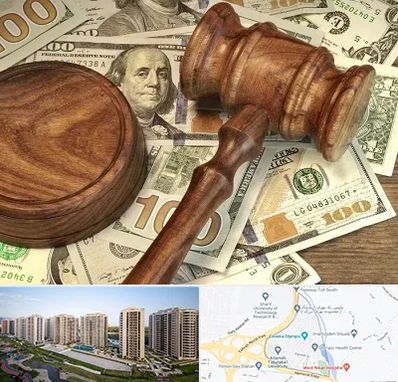 وکیل امور مالی در المپیک 