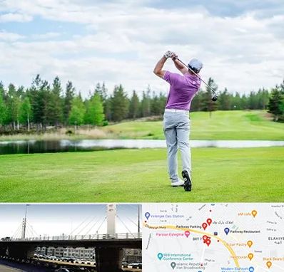 مربی گلف در پارک وی 