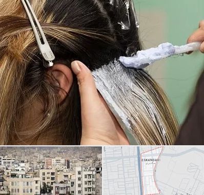 آموزشگاه رنگ و مش در اسکندری