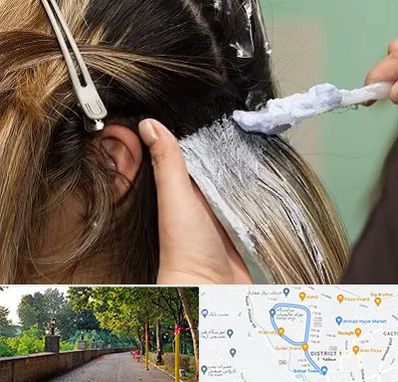 آموزشگاه رنگ و مش در فلکه گاز رشت