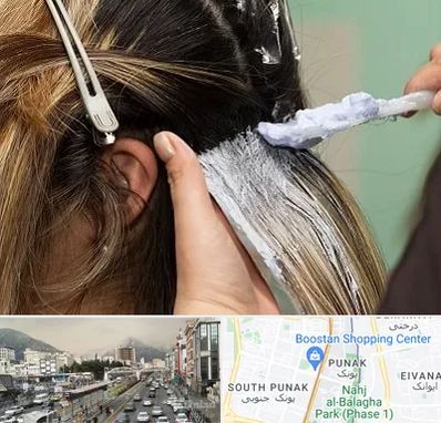 آموزشگاه رنگ و مش در پونک