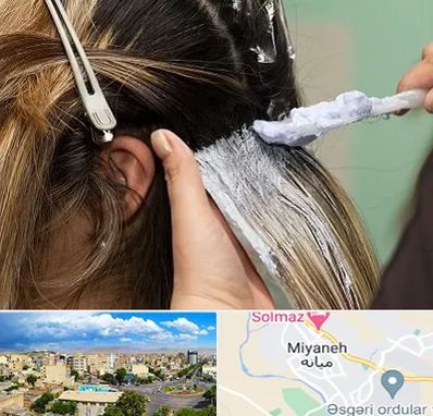 آموزشگاه رنگ و مش در میانه