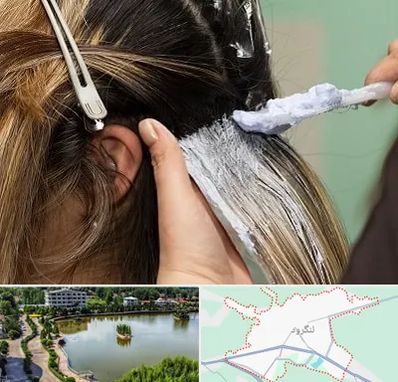 آموزشگاه رنگ و مش در لنگرود