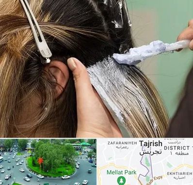 آموزشگاه رنگ و مش در تجریش