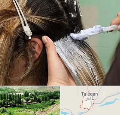 آموزشگاه رنگ و مش در طالقان