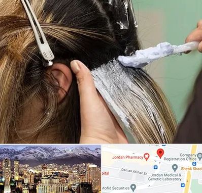 آموزشگاه رنگ و مش در جردن