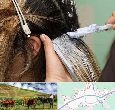 آموزشگاه رنگ و مش در تالش