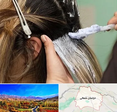آموزشگاه رنگ و مش در خراسان شمالی