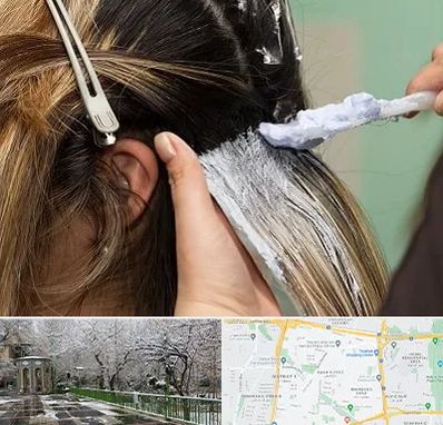 آموزشگاه رنگ و مش در باغ فیض