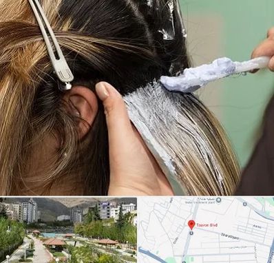 آموزشگاه رنگ و مش در بلوار تعاون