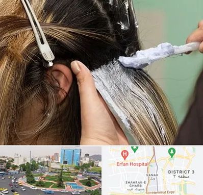 آموزشگاه رنگ و مش در ونک تهران