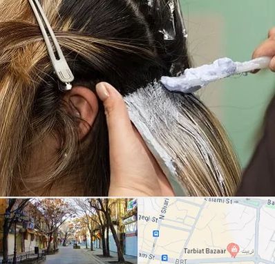 آموزشگاه رنگ و مش در تربیت تبریز