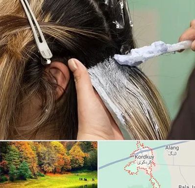 آموزشگاه رنگ و مش در کردکوی