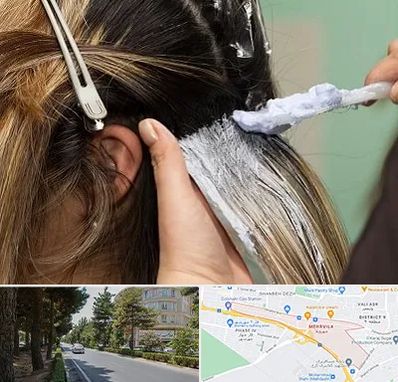 آموزشگاه رنگ و مش در مهرویلا کرج