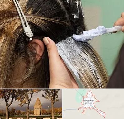آموزشگاه رنگ و مش در تویسرکان