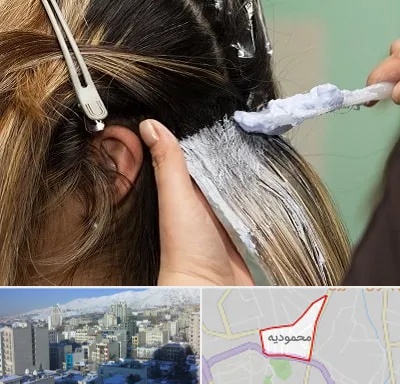 آموزشگاه رنگ و مش در محمودیه