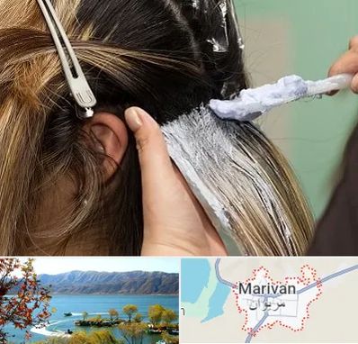 آموزشگاه رنگ و مش در مریوان