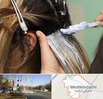 آموزشگاه رنگ و مش در مشکین دشت