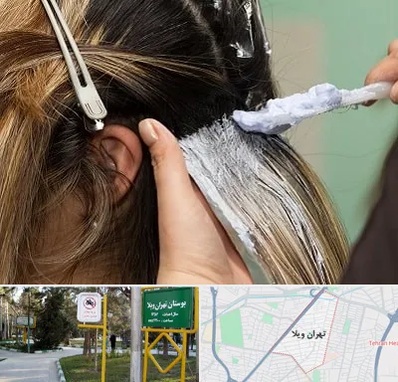 آموزشگاه رنگ و مش در تهران ویلا