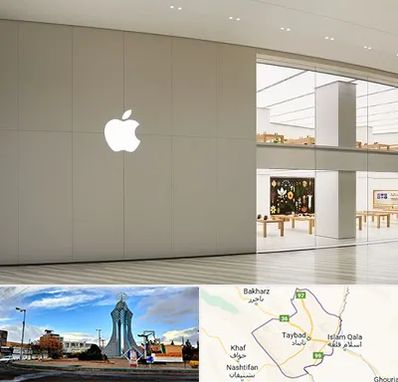 نمایندگی اپل در تایباد