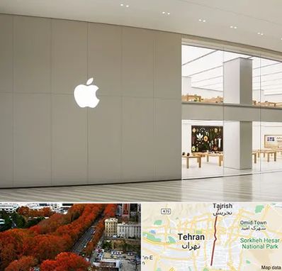 نمایندگی اپل در ولیعصر 