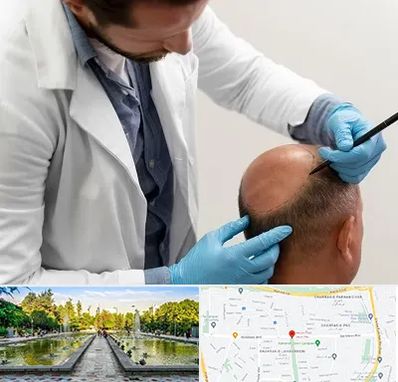 کاشت مو به روش تکثیری در سرسبز 